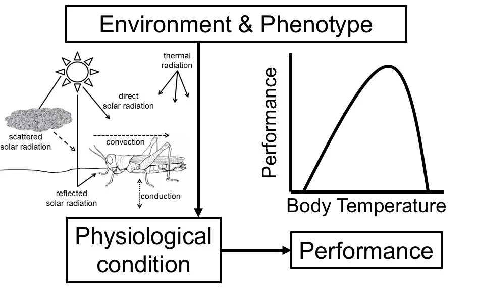 step 2 diagram