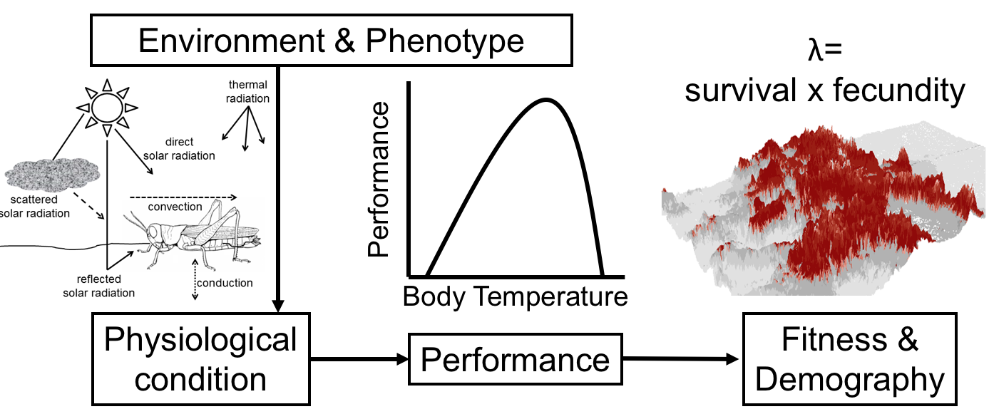 step 3 diagram
