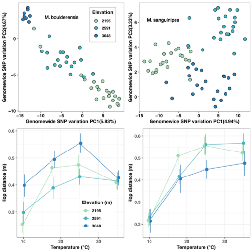 elevational clines in genomic data and thermal specialization