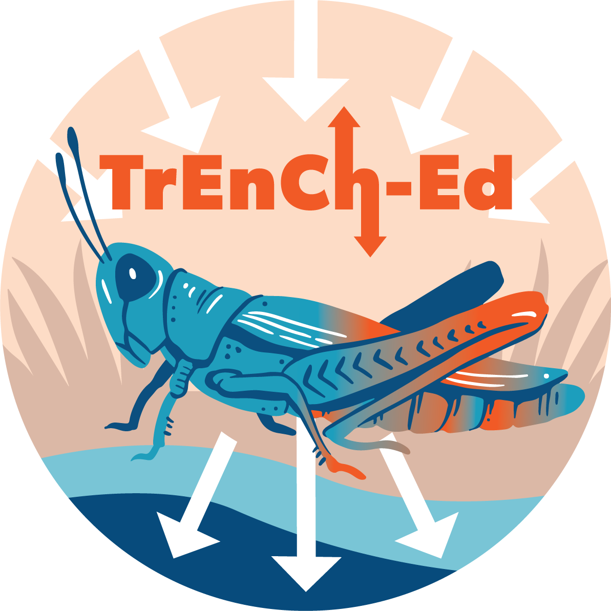 TrenchEd logo