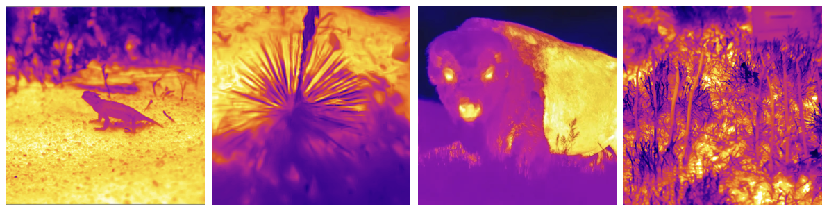 thermal image showing warm and cool gradients