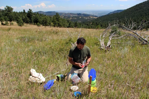 field survey photo