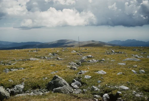 Niwot Ridge field photo