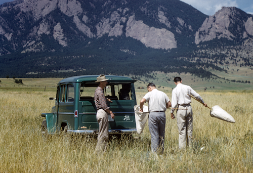 Front Range field photo
