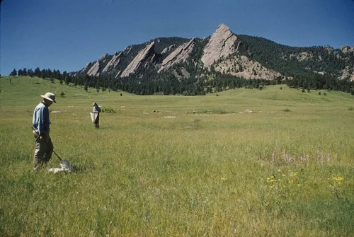 Chautauqua Mesa field photo