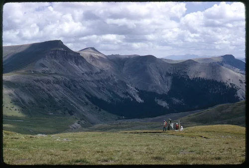 butterfly hunters, 1974