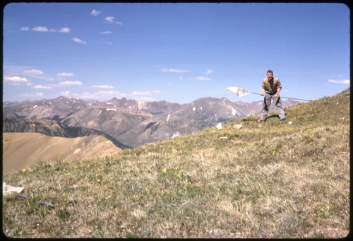 man on Mt. Tilton, 1963