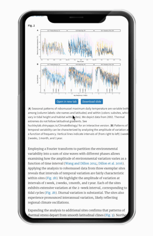 interactive visualizations